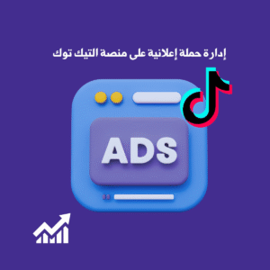 إدارة حملة إعلانية على منصة التيك توك